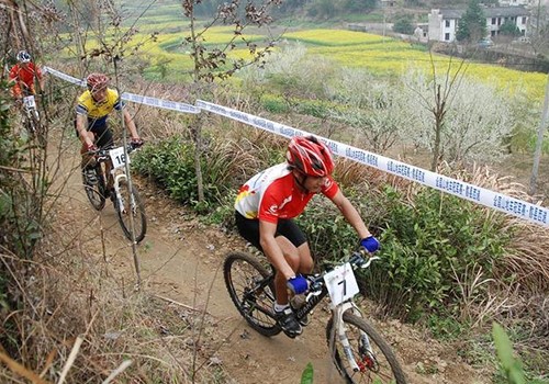 mtb