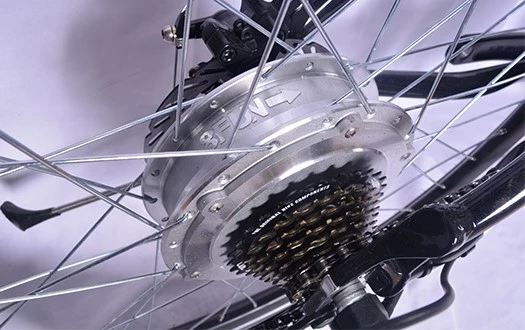 rear motor rear motor