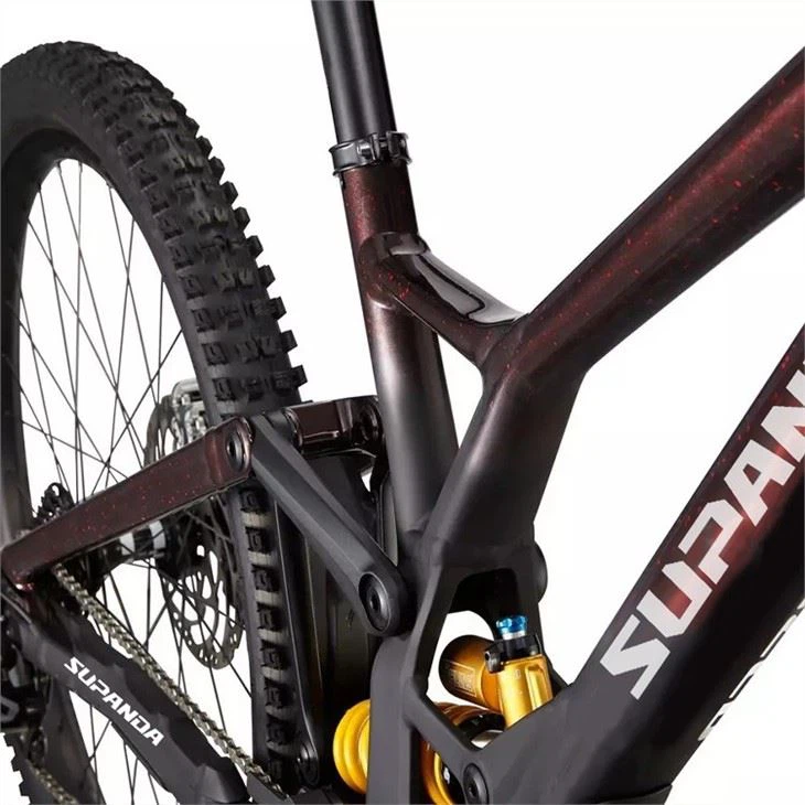 women's downhill mountain bike7