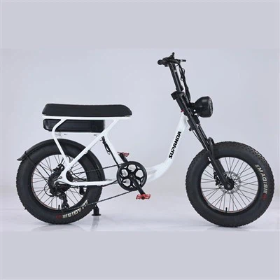 Двойна корона Ebike