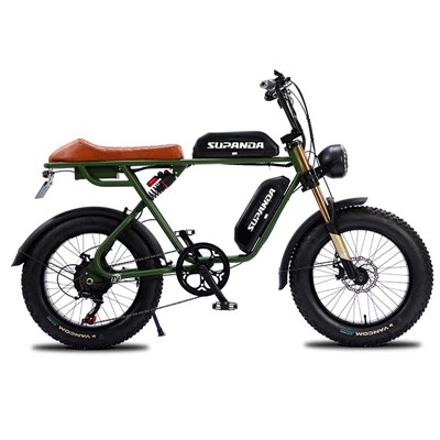 Ebike с двоен мотор